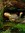 Ophelia...