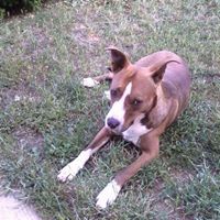 Йорданка Кузманова