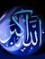 د.أحمد شتا