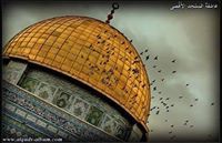 سوزان عليان