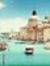 Hamed M...