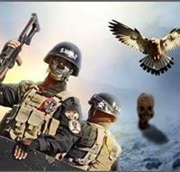 وليد العامري