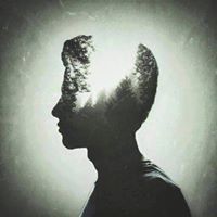 Mostafa Mohamed