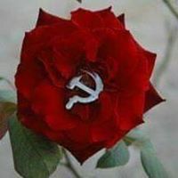 اكرم البياتي