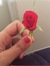 ShasV
