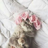 Esraa Asaad