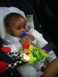 Zein Mohamed