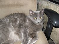 Rita