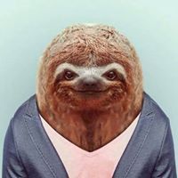 Sleuthy Sloth