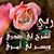 Bushra Jamal
