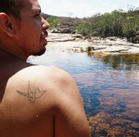 André Nogueira