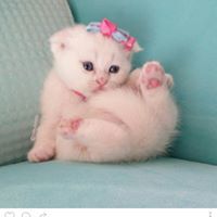 PrìñÇêsß SóÕò