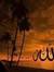 Mohamma...