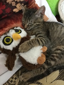 Lili