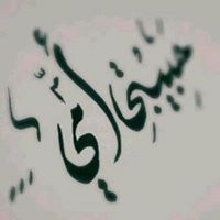 Amine Bacha
