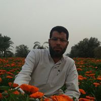 على ابن النيل