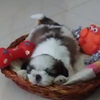 Christopher Amalrajan