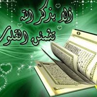 Hamid Raza