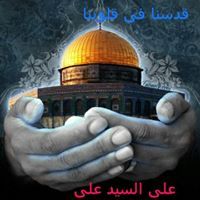 Ali Elsayed