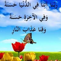 نور الحياه