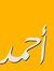 أحمد ال...
