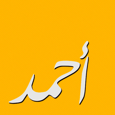 أحمد الهادي