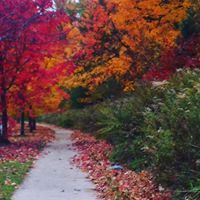 Malavan Balachandran