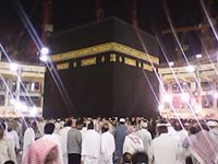 عبدالرحمن عرابي