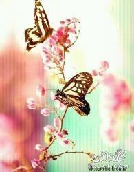 Khölöûd M Elmâgháwrÿ