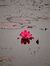 Anish S...