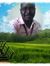 Yassir ...