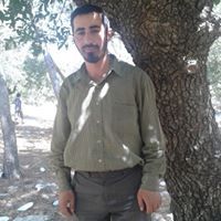 محمود سيدي
