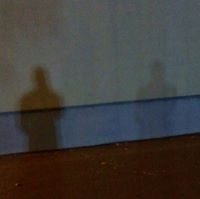 Цветомир Николов