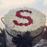 لمياء لاشين