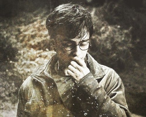 Goodreads profile picture for @narcissistic