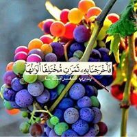 احمد القطان