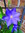 Roxanne M | 9 comments