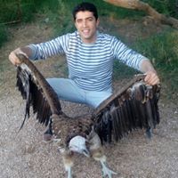 Abdullah Aboulola