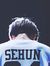exo sehun