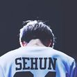 exo sehun