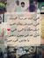 Asmaa M...