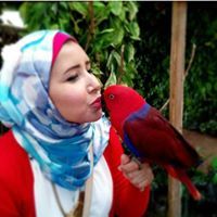 Noha Mahmoud