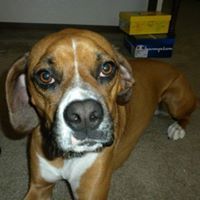 Celeste Lefebvre-Austin