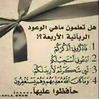 المهندس محمد