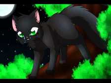 HollyLeaf