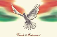 ವಸಂತ್ ಕುಮಾರ್