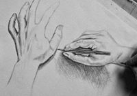 ميامي القحطاني