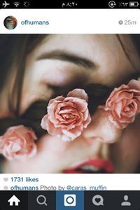 هديل الصغير