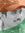Kiranku...