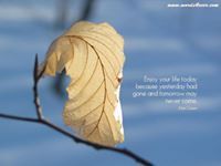 عبدالرحمن السنيدي